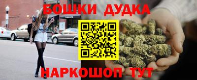 сатива Беслан