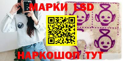 стаф Берёзовский