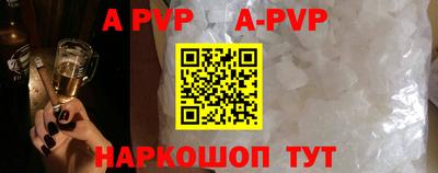 стаф Берёзовский