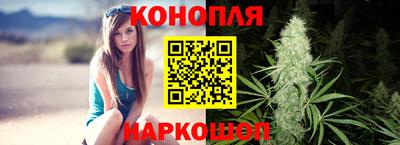 стаф Берёзовский
