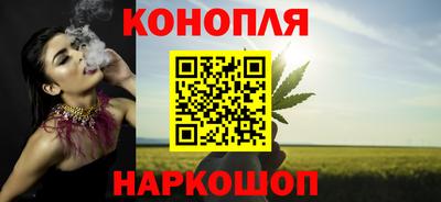 сатива Беслан