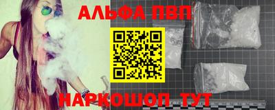 сатива Беслан