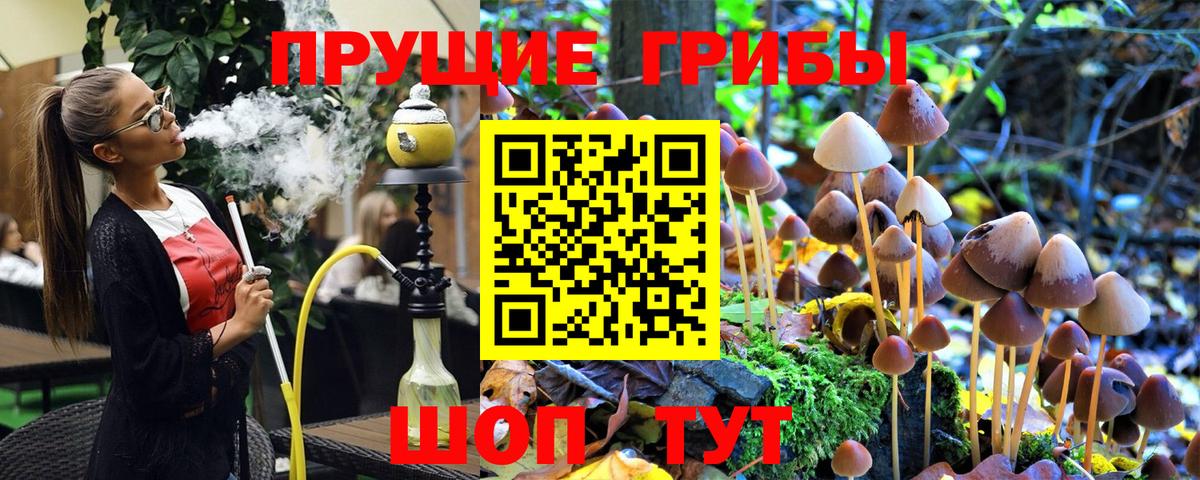 Галлюциногенные грибы мухоморы Каменск-Уральский