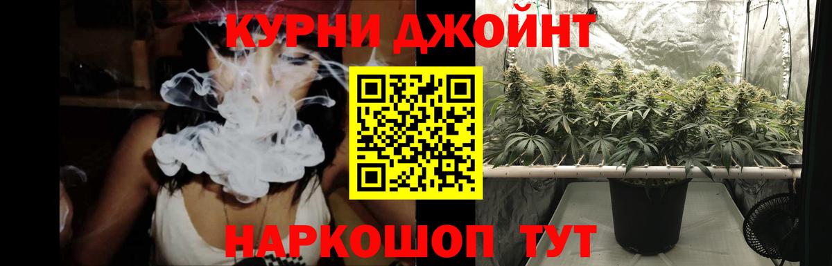 Канабис сатива Каменск-Уральский